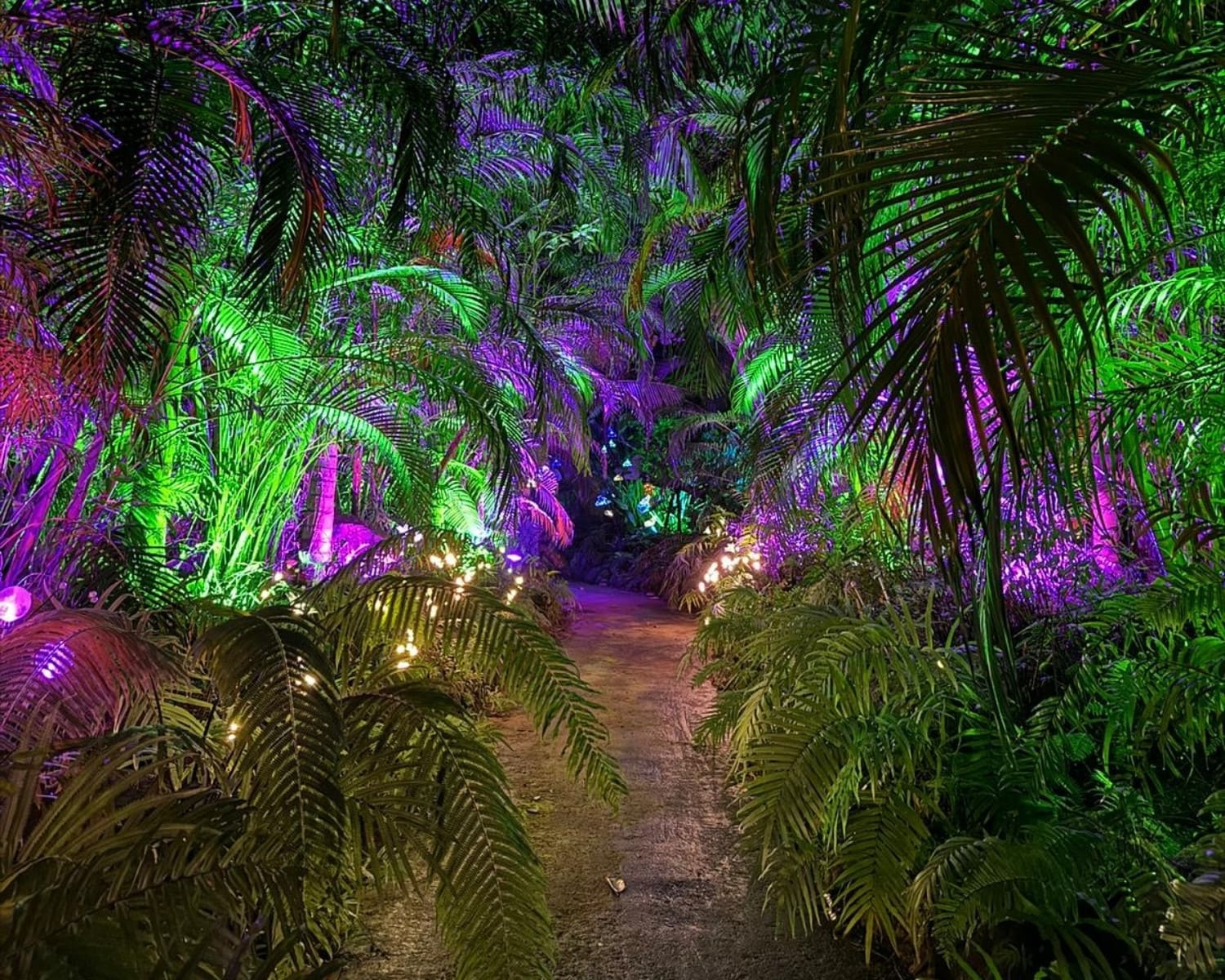 Gallery-Labyrinth Lights (2)