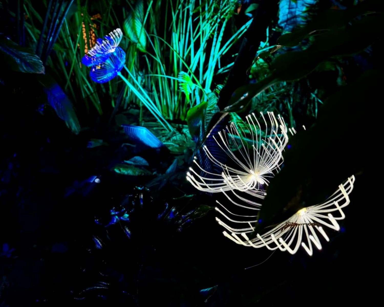 Gallery-Labyrinth Lights (3)