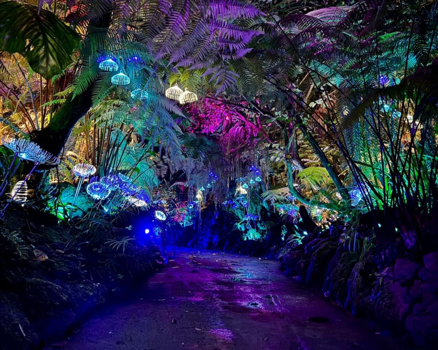 Gallery-Labyrinth Lights
